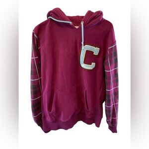 Champion Men's Purple and Burgundy Hoodie Size Large